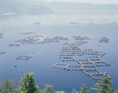 tkf003_552137