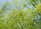 tkf003_554571