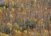 tkf003_554771