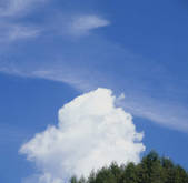 tkf003_555044
