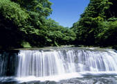 tkf003_555053