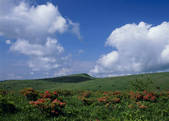 tkf003_555162