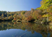 tkf003_555266
