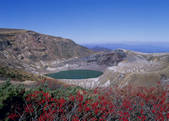 tkf003_556501