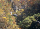 tkf003_556762