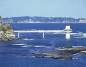 tkf003_556872