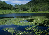 tkf003_556881