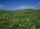 tkf003_556900