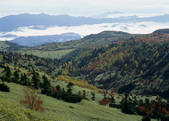 tkf003_556943