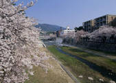 tkf003_557076