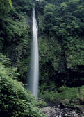 tkf003_558239