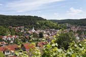 tkf003_565284