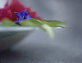 tkf003_570418