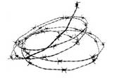 tkf003_570873