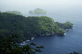 tkf003_640268