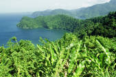 tkf003_640276
