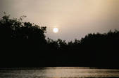 tkf003_640289