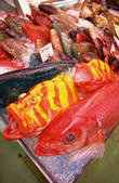 tkf003_643616