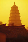 tkf003_648167