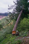 tkf003_653097