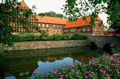 tkf003_654488