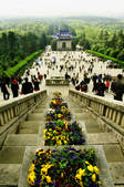 tkf003_658940