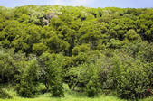 tkf003_660437