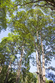 tkf003_677257