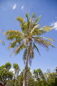tkf003_677413