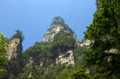 tkf003_677583