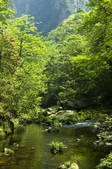 tkf003_677664
