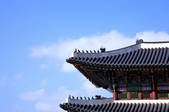 tkf003_681947