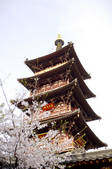 tkf003_682119