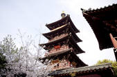 tkf003_682139