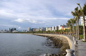 tkf003_682195