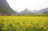 tkf003_684120