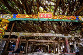 tkf003_685202