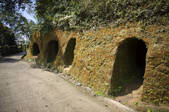 tkf003_687239