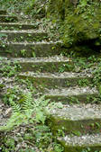 tkf003_687408