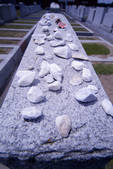 tkf003_702468
