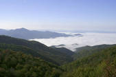 tkf003_710311