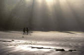 tkf003_710434