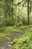 tkf003_712525