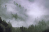 tkf003_712683