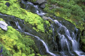 tkf003_712901