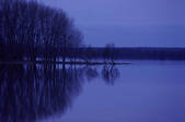 tkf003_715652