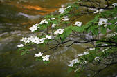 tkf003_717142