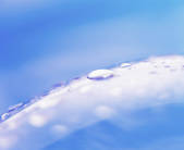 tkf003_778591