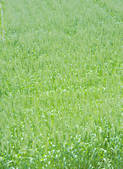 tkf003_787047