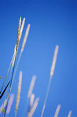 tkf003_804730